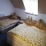 公寓 泽勒兹纳鲁达公寓 *