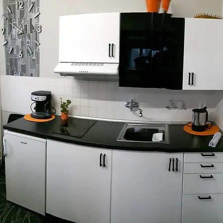Apartament Apartmany Zelezna Ruda *